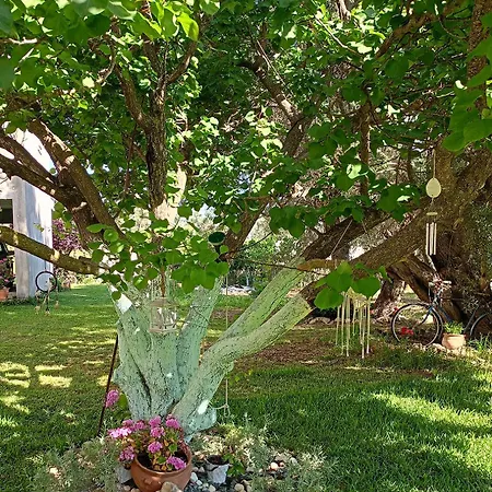 Aeraki House Διαμέρισμα Λευκάδα